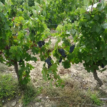 Loire-sejours * Ancenis